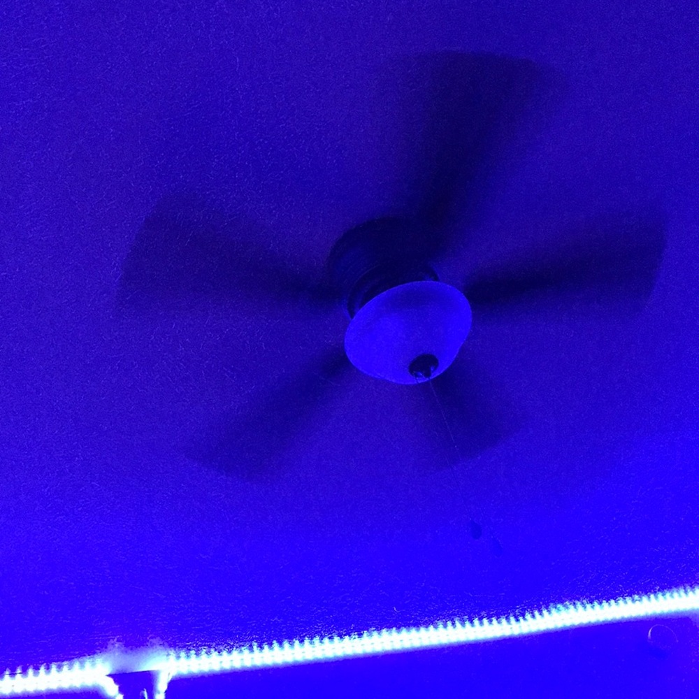 Meet your Posher, Gwen